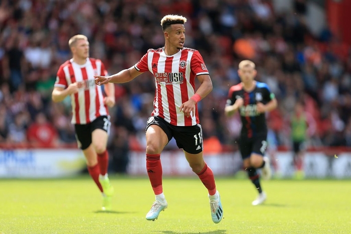 Hình ảnh đối đầu Newcastle United vs Sheffield United
